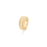 Studio Z Ring