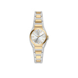 Fossil ur