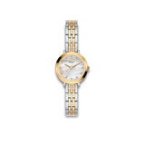 Fossil ur