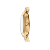 Fossil ur