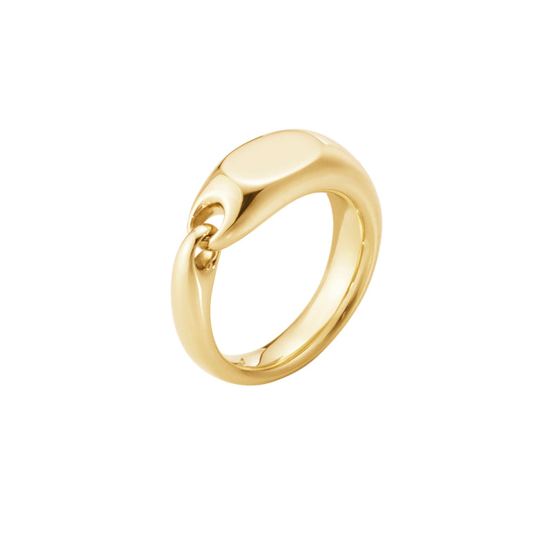 Reflect Signet ring