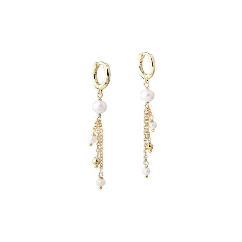 Aqua Dulce Ørehængere