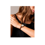 Fossil ur