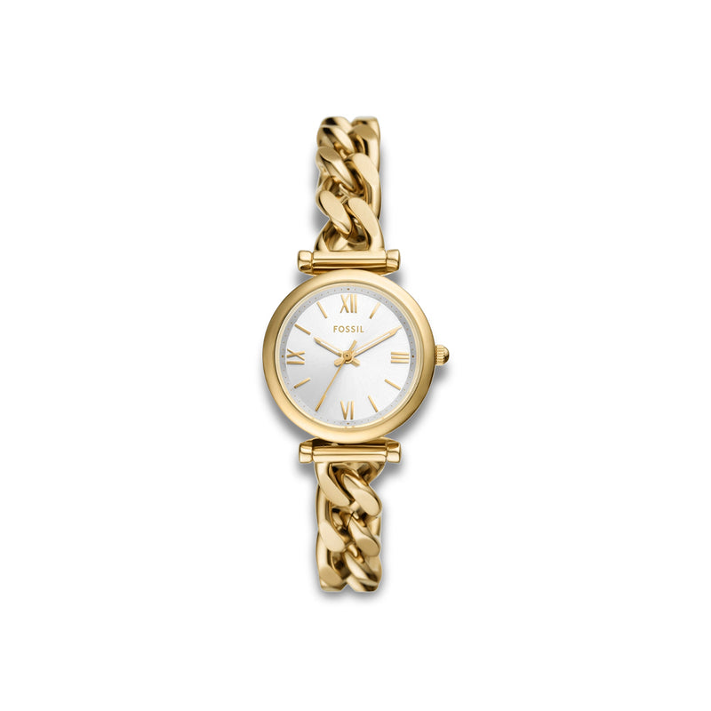 Fossil ur