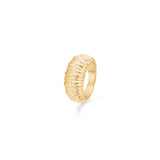 Studio Z Ring