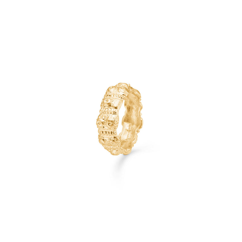 Studio Z Ring