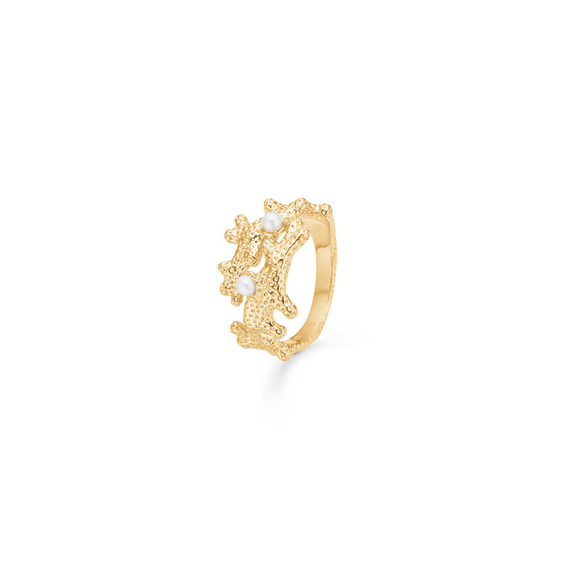 Studio Z Ring