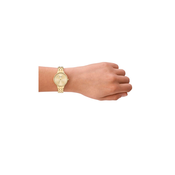 Skagen ur