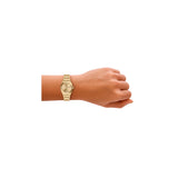 Fossil ur