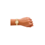 Fossil ur