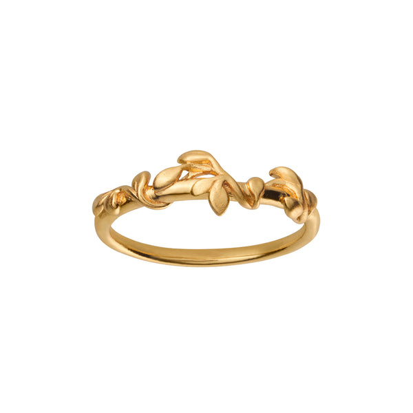 By Biehl ring