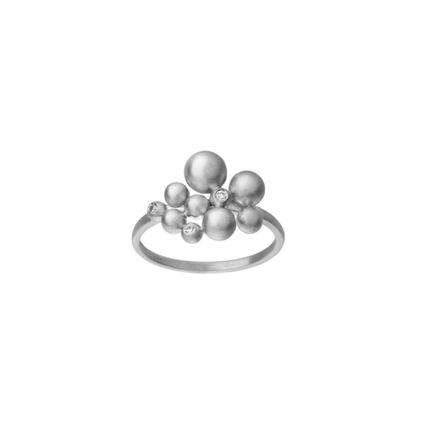 By Biehl ring